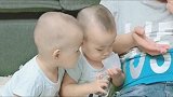 妈妈不在家，爸爸给龙凤胎兄妹吃这个，真是太不省心了
