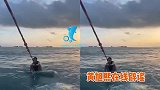 蔡徐坤和杨颖出海约会？黄旭熙晒冲浪视频辟谣，蔡徐坤晒照回应