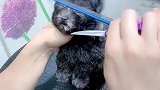 希望爱我多一点