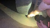 车轮下救回被遗弃的小猫，司机不忍让它变成流浪猫，好心收养