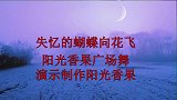 热歌广场舞《失忆的蝴蝶向花飞》情歌对唱情意绵绵，听醉了！