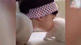 小猫站在沙发上面，小女孩靠近小猫，轻柔的亲吻触碰小猫！