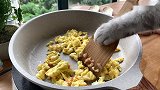 猫王：硬邦邦的法棍还能这么吃！（卖艺的我最后卖了身）