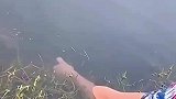 高手钓鱼不用杆，直接用手钓大鱼