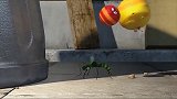 爆笑虫子：小黄小红被蚊子叮成一个球，小黄的无敌屁吓跑蚊子