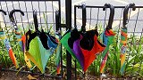 共享雨伞丢失三十万把，创始人不悲反喜，这是因为什么？