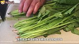 菠菜这样做真好吃，农村大妈教你新做法，清脆爽口，上桌就光盘