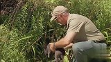 假装放生的兔子被猎人打死，路人非常的惊讶
