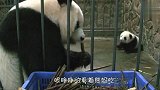 这熊孩子是亲生的吗？连口饭都不给吃，心疼崽崽一秒钟