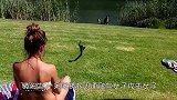 一条眼镜蛇攻击女子，女子接下来的一个举动，太牛掰了！