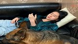 狗子见女主玩手机老砸到她自己，就趴女主身上帮忙挡住，暖心