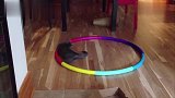 猴子第一次喝咖啡，这小表情有点怀疑人生，什么东西味道这么怪