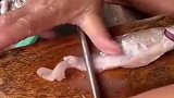 鱼，感觉身体被掏空