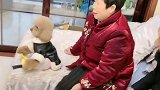 崽胖子霸占电视看动画片，看它任性的样子可爱了，都忍住别笑