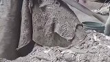 雪白的羊毛被最开始居然是这么脏的，这个制作方法简直太复杂了