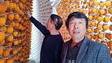 柿饼加工方法（四）：包裹揉捏