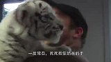 雄狮拒绝进食瘦成“皮包骨”，看到救命恩人时，画面让人落泪！