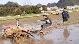 小伙回村第一次耕田，结果连耕田机都不会操作，差点就起飞了！