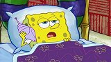 海绵宝宝：珊迪要出远门，准备让海绵宝宝看家