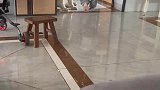 狗子也怕和小孩子一起，害怕的一动也不敢动