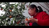 胖妹回娘家蹭饭，老爸烧牛肉火锅，2个素菜，团圆饭吃起来就是香