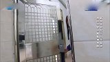 奔跑：张天爱柔韧度太强，踢腿直接踢到180度，兄弟团被震惊