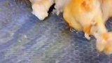 这样做的鸡翅根太好吃了