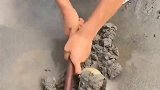 在河边挖玉石的小伙，收获了两块上等的籽料，羡慕。