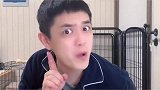 准备养狗的朋友看过来！