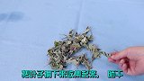 挂在门口的艾草，赶紧收回来，还有这样的妙用，可惜今天才知道