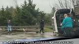 奶牛都跑了，大货车倒了，司机没有去管奶牛在马路上乱跑