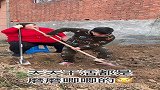 挖地窖上不来了，霸气胖媳妇