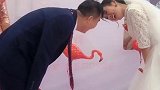 谁先抬头谁做饭，新郎新娘僵持了两分钟，谁都不让谁