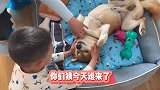 小柴私生饭杀上门