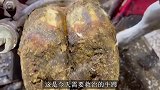 牛蹄脚后跟腐烂，小哥及时帮忙处理，全程看完十分解压