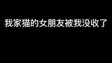 明明什么都没找到还要冤枉我