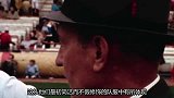 NFL-1314赛季-球队色彩学之猛虎-专题