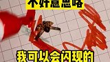 差点就忘记我可是带翅膀的