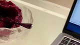 女子去了趟洗手间的功夫，猫咪搞得满桌都是脚印