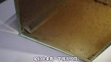 丰年虾已经孵化完成，独门秘制去卵手法，小鱼吃的不亦乐乎