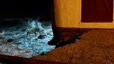 阿根廷：汹涌海浪冲刷地基，海边一栋2层楼地基塌陷坠入大海