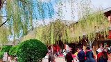 柳叶成荫，繁花似锦，这就是三月的丽江古城。