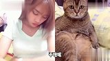 喵星人看直播的表情，看完忍住别笑