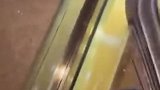 皇马球员抵达酒店 姆巴佩和阿拉木图的球迷打招呼