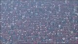 中超-14赛季-联赛-第19轮-河南建业vs上海绿地申花入场仪式-花絮