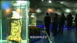 村民祖祖辈辈喝的河水干涸 干涸后出现的一幕 令村民作呕