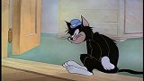 猫和老鼠：杰瑞鼠是猫咪的噩梦，猫咪的手指，当钢琴弹奏