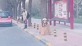 回家路上看到的小姑娘，说实话差点被她感动了！