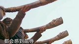 专家发掘金国古墓，一具女性尸骸，揭示了靖康之难的耻辱