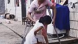 孩子从窗户摔下痛哭不止，拄拐杖的妈妈咬牙将女儿抱起